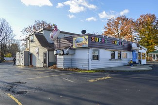 Plus de détails pour 6865 Erie Rd, Derby, NY - Vente au détail à louer