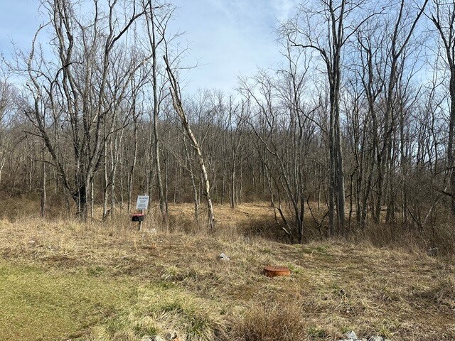 More details for 00 Stonehurst Dr, Morgantown, WV - Land for Sale