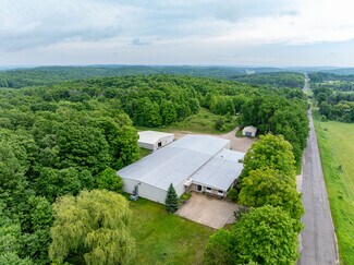 Plus de détails pour 3166 Muckle Rd, Central Lake, MI - Industriel à louer