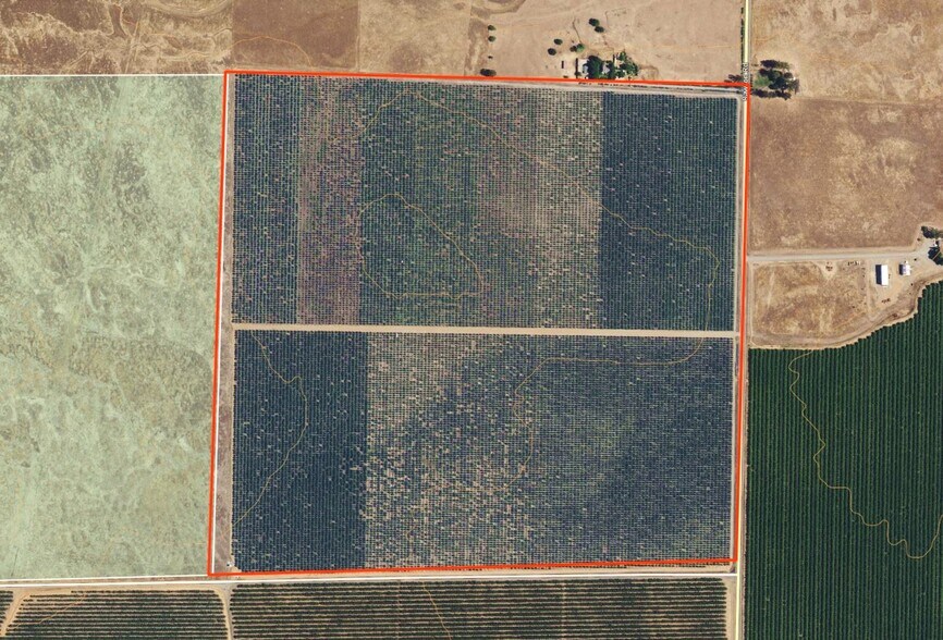 Gyle Rd, Corning, CA à vendre - Photo du bâtiment - Image 3 de 3