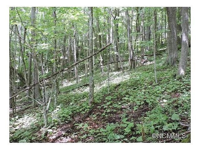 329 Hamlin Lane, Mars Hill, NC à vendre - Autre - Image 3 de 7