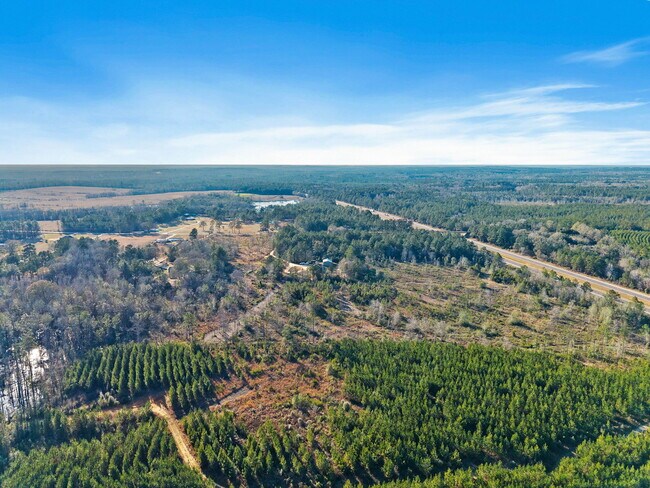 More details for 55750 Lottie Rd, Perdido, AL - Land for Sale