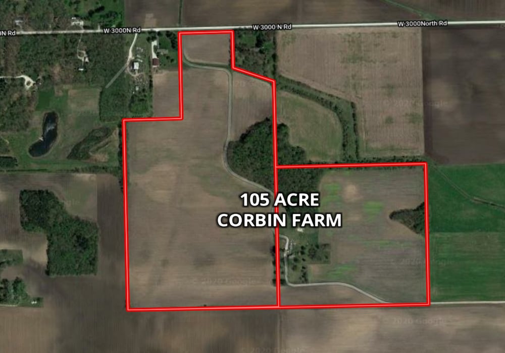 W 3000 N Road, Bonfield, IL à vendre Photo principale- Image 1 de 2
