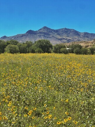 Plus de détails pour Polvadera Rd, Polvadera, NM - Terrain à vendre