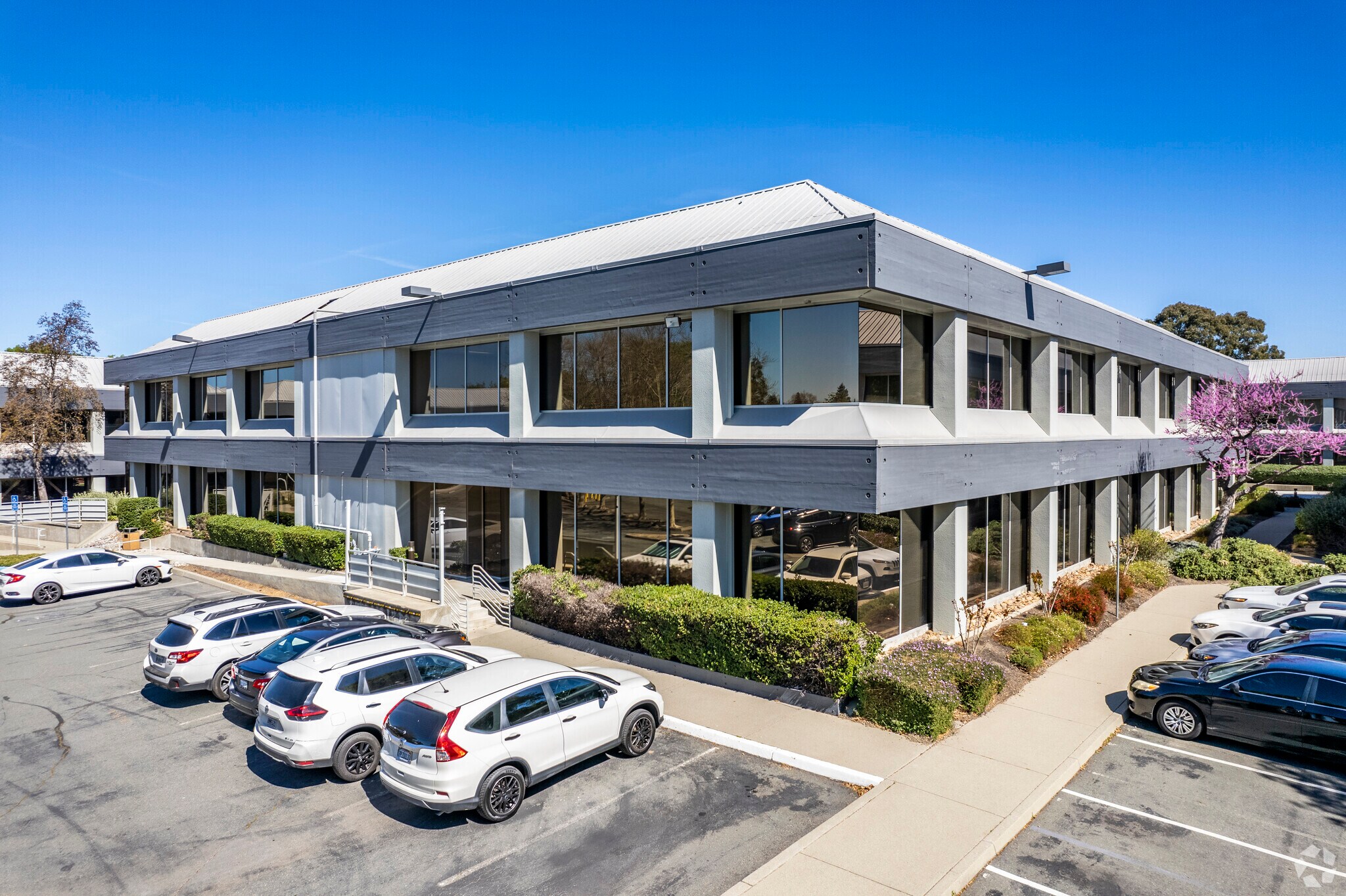 185 Lennon Ln, Walnut Creek, CA for lease Primary Photo- Image 1 of 6