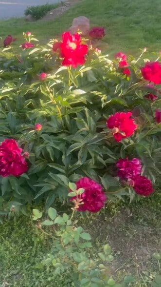 33345 W. 95th St, De Soto, KS for sale - Commercial Listing Video - Image 2 of 76