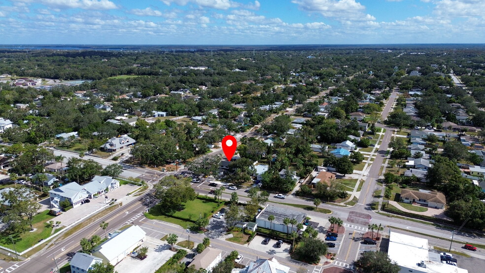 1122 Omaha St, Palm Harbor, FL à vendre - Aérien - Image 2 de 48