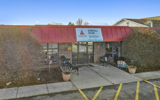 More details for 925 E Nerge Rd, Roselle, IL - Retail for Sale