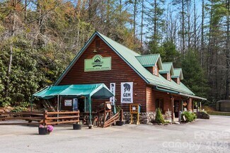 Plus de détails pour 10932 Rosman Hwy, Lake Toxaway, NC - Commerce de détail à vendre