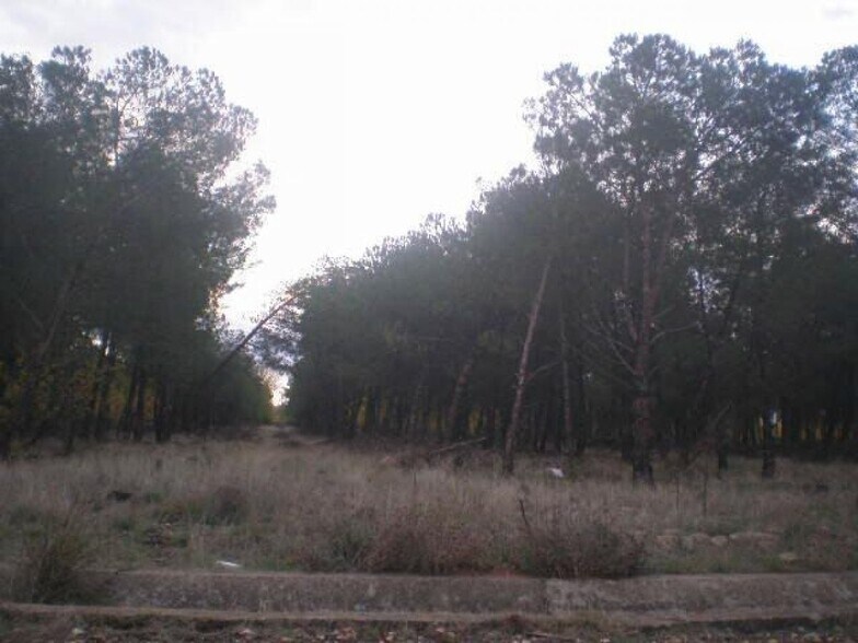 Land in Salamanca, Salamanca for sale - Primary Photo - Image 1 of 3