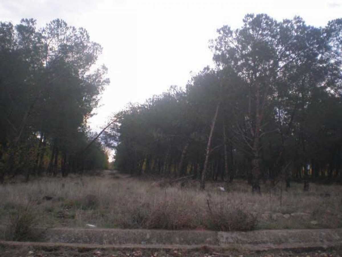 Land in Salamanca, Salamanca for sale Primary Photo- Image 1 of 4