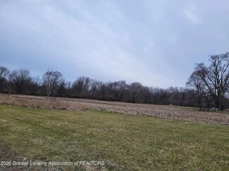 More details for 0 M21 Hwy, Ovid, MI - Land for Sale