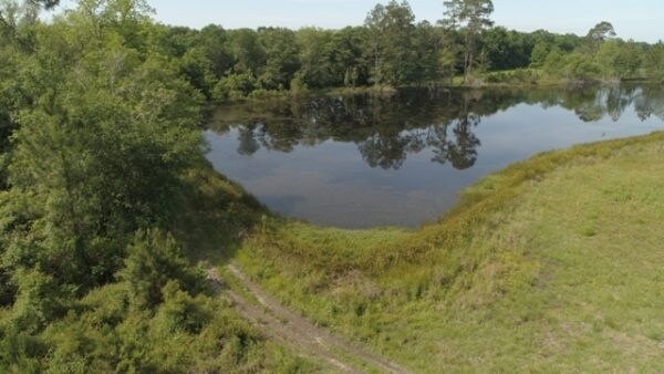 Hwy 280 W, Hagan, GA à vendre - Photo du bâtiment - Image 3 de 4