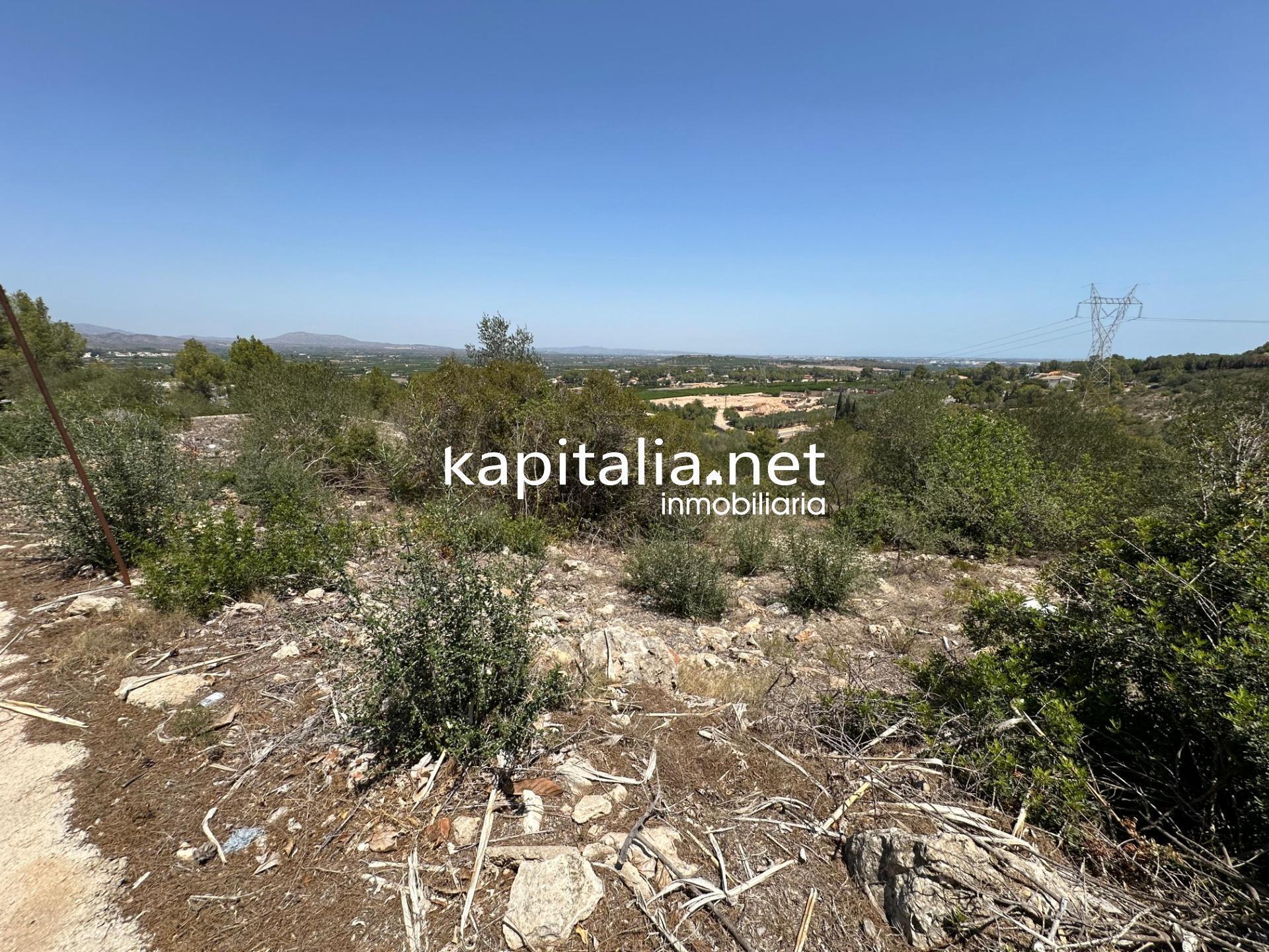 Land in Alberic, Valencia for sale Aerial- Image 1 of 5