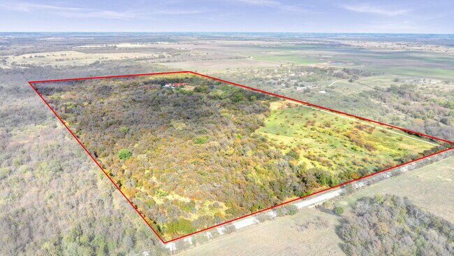 Plus de détails pour 81ac Shearer Road, Pilot Point, TX - Terrain à vendre