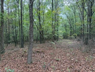 Plus de détails pour Colquitt Rd, Cedartown, GA - Terrain à vendre