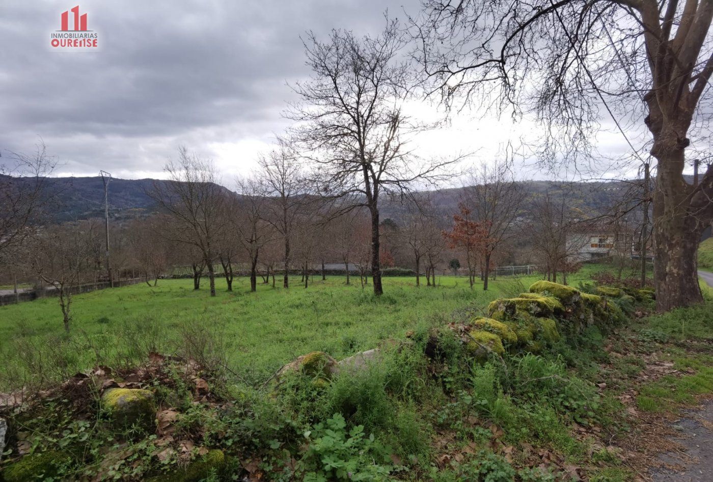 Belesar, Coles, Orense for sale Primary Photo- Image 1 of 4