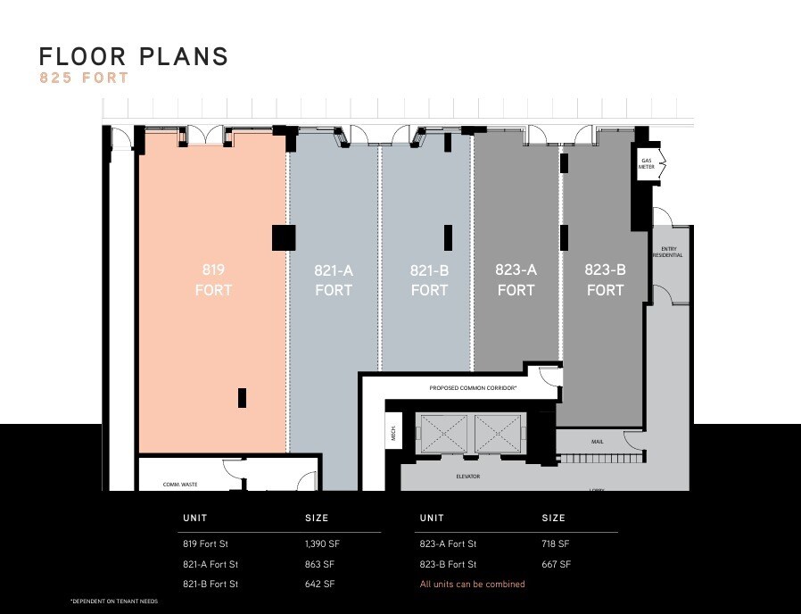 825 Fort St, Victoria, BC à louer Plan d’étage- Image 1 de 1