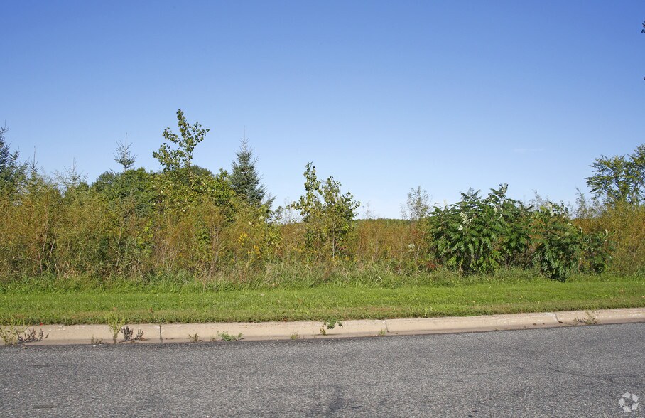 4971 Scandia Trl, Forest Lake, MN for sale - Building Photo - Image 2 of 4