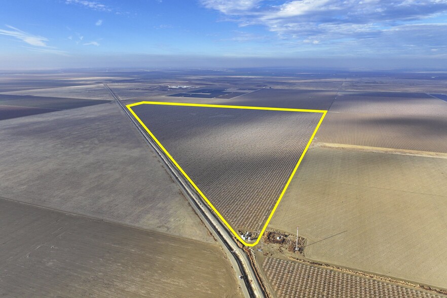 +/- 304.42 Acres Pistachios, Helm, CA for sale - Primary Photo - Image 1 of 12