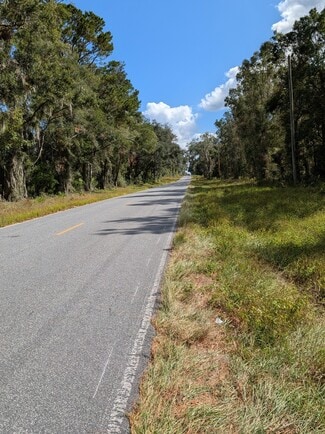 More details for 18011 N US Hwy 301, Citra, FL - Land for Sale