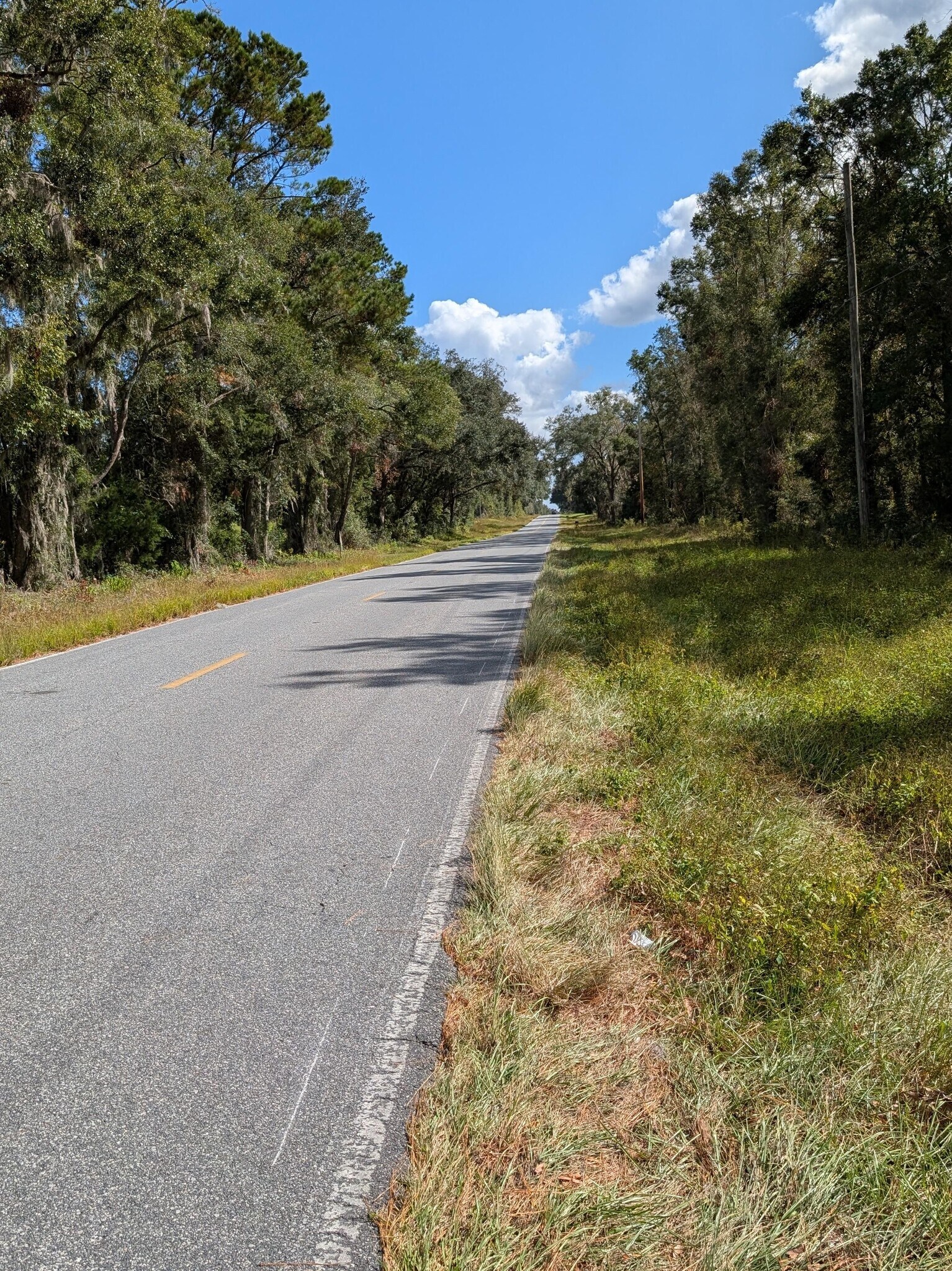 18011 N US Hwy 301, Citra, FL for sale Primary Photo- Image 1 of 12