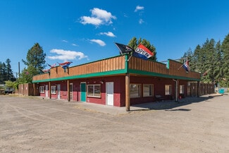 Plus de détails pour 15610 Olson Dr Kp N, Lakebay, WA - Commerce de détail à vendre