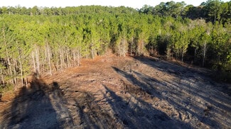 More details for 319 - 547 Sisters Ferry Road, Ridgeland, SC - Land for Sale