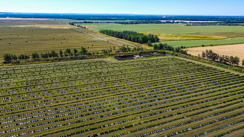 705068 82 -1, Wembley, AB à vendre - Photo du bâtiment - Image 2 de 55