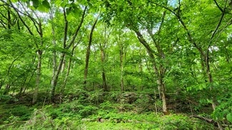 More details for Near 5370 Deerfoot Parkway Pky, Trussville, AL - Land for Sale