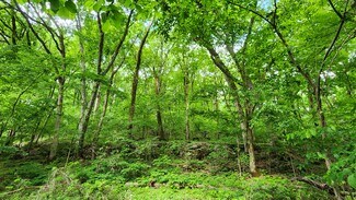 Plus de détails pour Near 5370 Deerfoot Parkway Pky, Trussville, AL - Terrain à vendre