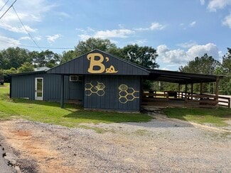 Plus de détails pour 285 N Garland Rd, Mckenzie, AL - Commerce de détail à vendre