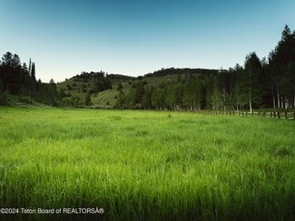 Plus de détails pour 5450 Dry Henderson Rd, Victor, ID - Terrain à vendre