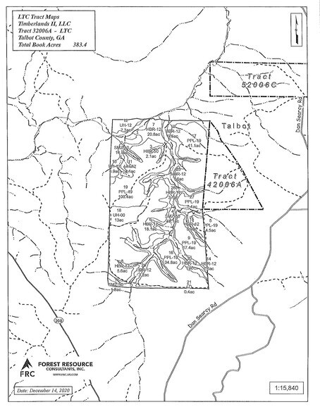 Talbot County Tract 32006A, Talbotton, GA à vendre - Plan de site - Image 2 de 2