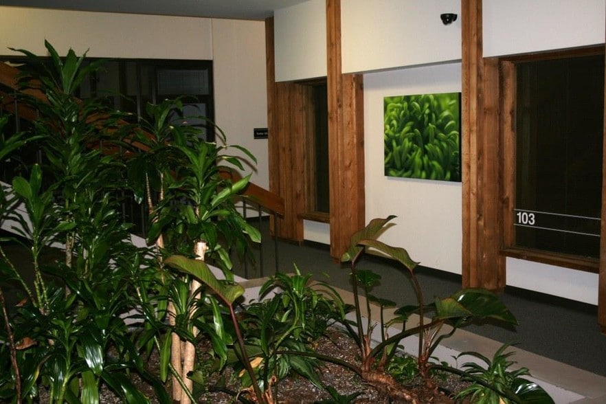 5840 S Memorial Dr, Tulsa, OK à louer - Photo intérieure - Image 2 de 6