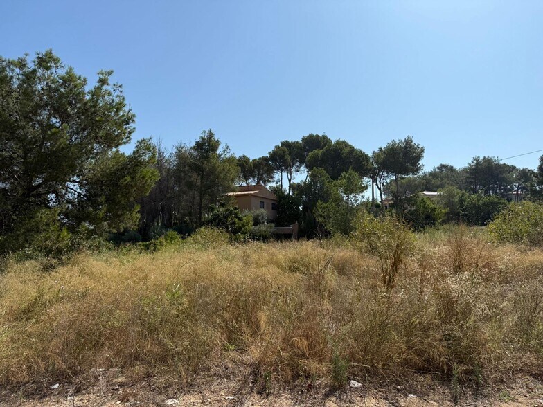 Land in Alberic, Valencia for sale - Primary Photo - Image 3 of 8