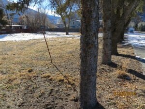 417 N River St, Hailey, ID for sale - Primary Photo - Image 1 of 2