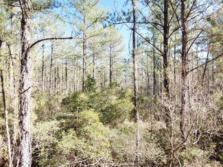 More details for Corrigan Road, Vidor, TX - Land for Sale