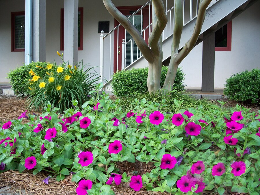 200 Market Pl, Roswell, GA à vendre Photo du bâtiment- Image 1 de 9