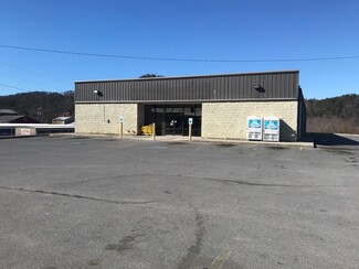 Plus de détails pour 3297 Cosby Hwy, Cosby, TN - Vente au détail à vendre