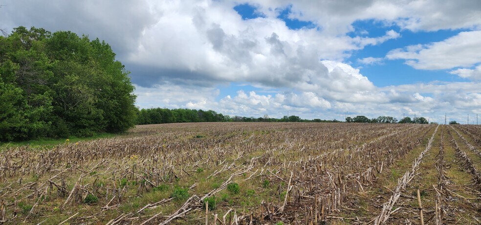 Highway B (30+/- Acres), Elsberry, MO à vendre - Autre - Image 1 de 18