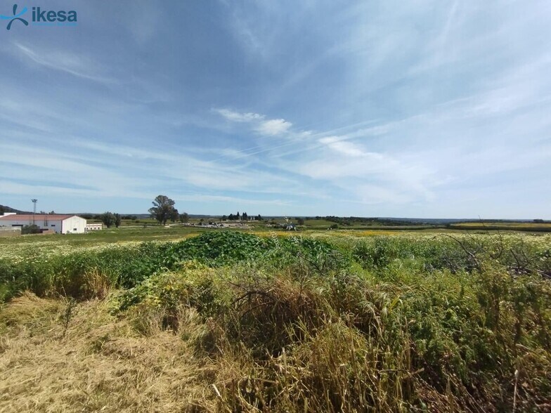 Terrain dans Alosno, Huelva à vendre - Aérien - Image 2 de 7