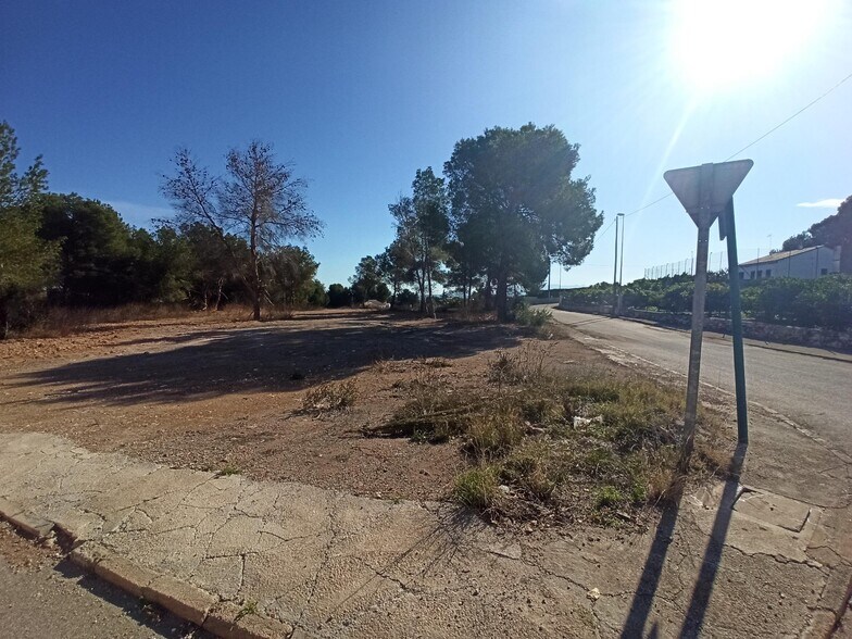 Land in Alberic, Valencia for sale - Primary Photo - Image 2 of 6