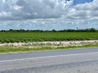 Plus de détails pour Military Hwy., Progreso, TX - Terrain à vendre