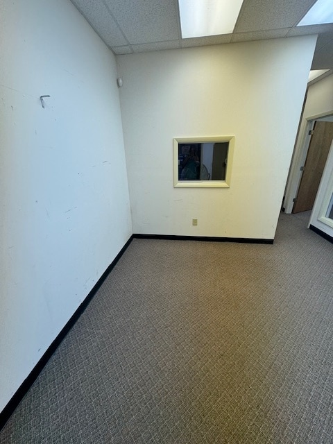 5305 E Fletcher Ave, Temple Terrace, FL for lease Building Photo- Image 1 of 7