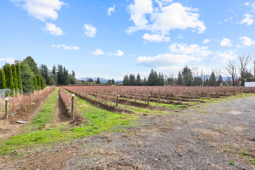 1264 Mccallum Rd, Abbotsford, BC for sale - Building Photo - Image 2 of 41