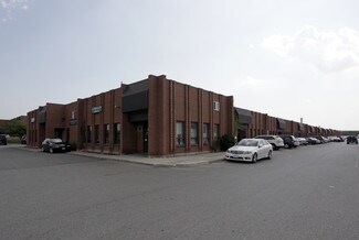 Plus de détails pour 101 Freshway Dr, Vaughan, ON - Flex à vendre