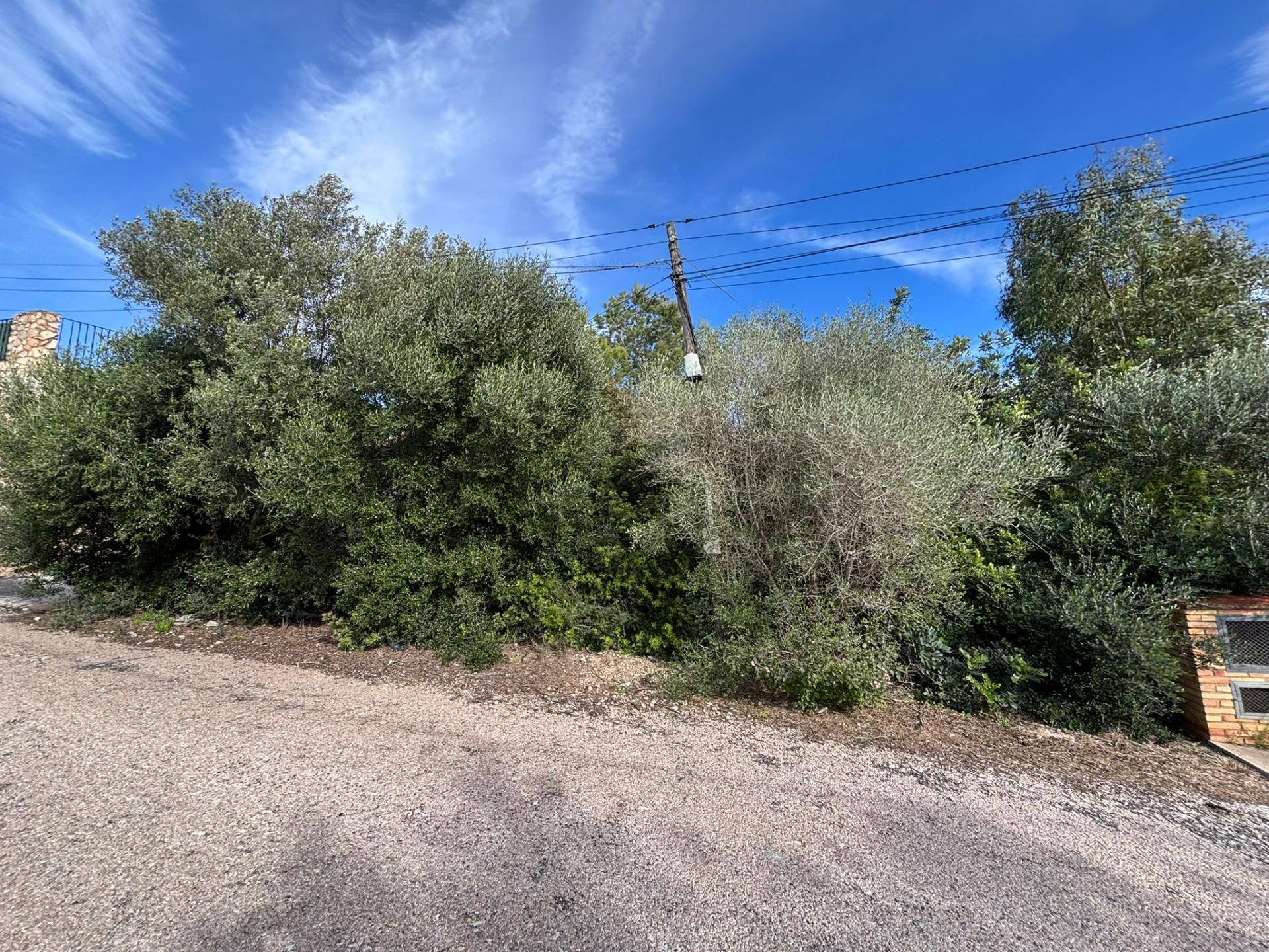 Terrain dans Alginet, Valencia à vendre Plan de site- Image 1 de 3