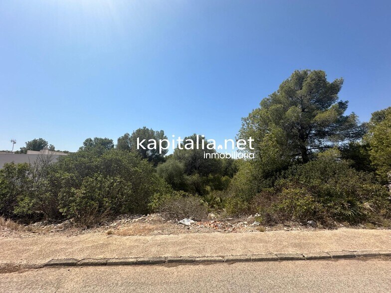 Land in Alberic, Valencia for sale - Primary Photo - Image 3 of 5
