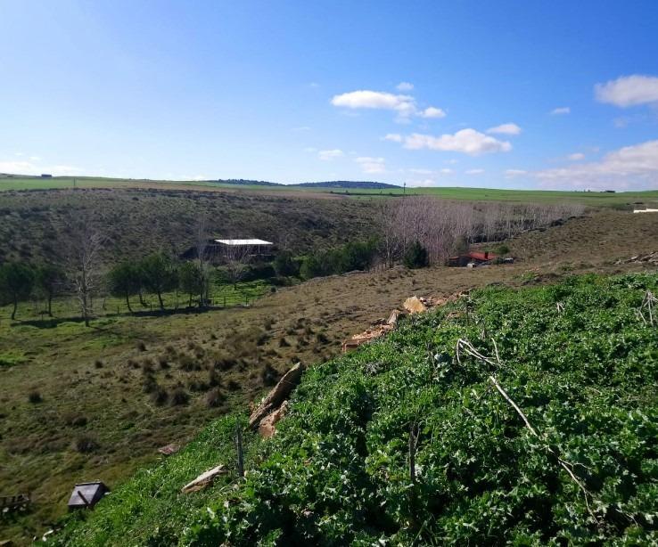 Land in Terradillos, Salamanca for sale Building Photo- Image 1 of 6